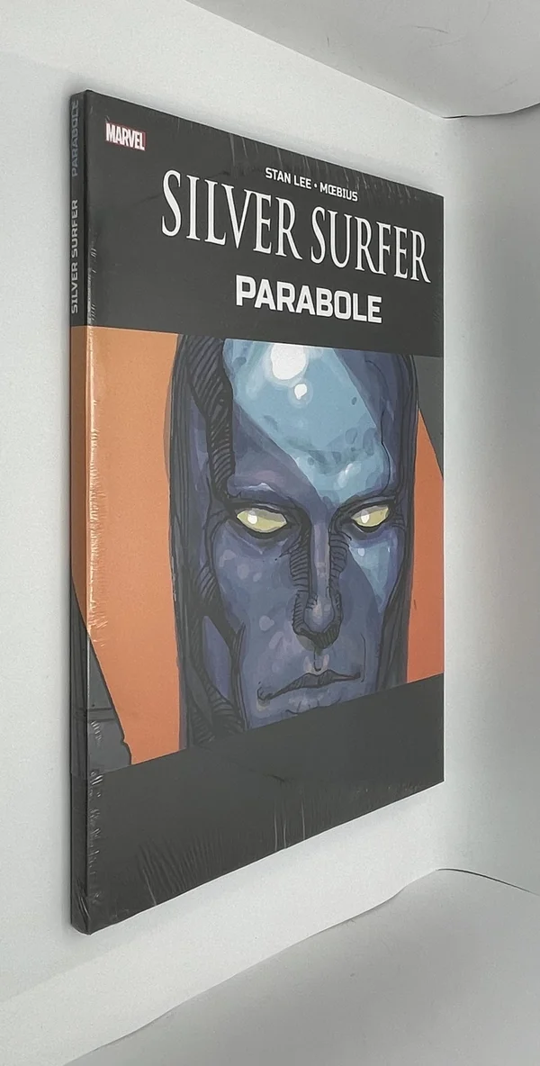 Galactus est revenu sur Terre et se fait vénérer par ses habitants, dans le seul but de les mener à leur perte. Un seul peut défier le Dévoreur de Mondes : son ancien héraut, le Silver Surfer, qui erre désormais dans New York comme un sans-abri. Stan