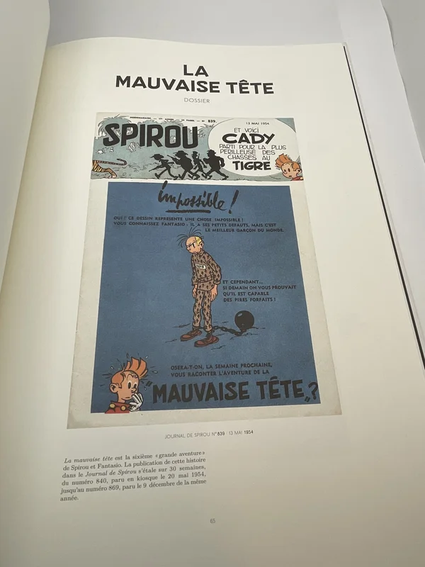 La Mauvaise Tête est la sixième grande aventure de Spirou et Fantasio, imaginée et dessinée par André Franquin en 1954. L'intrigue, l'une des plus cinématographiques de la série, tourne autour d'une machination où Spirou se retrouve accusé à tort, sur un